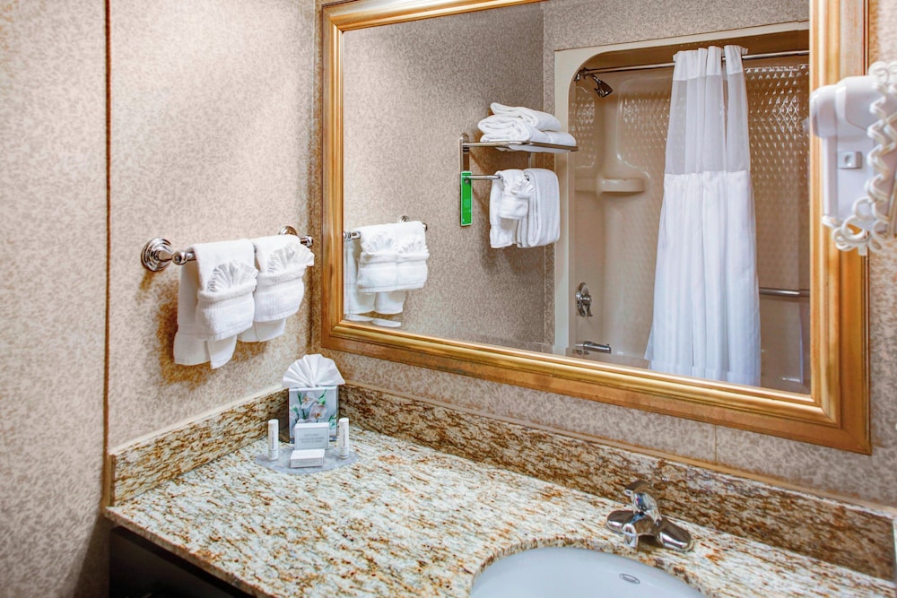 TownePlace Suites by Marriott Atlanta Buckhead - photo 12