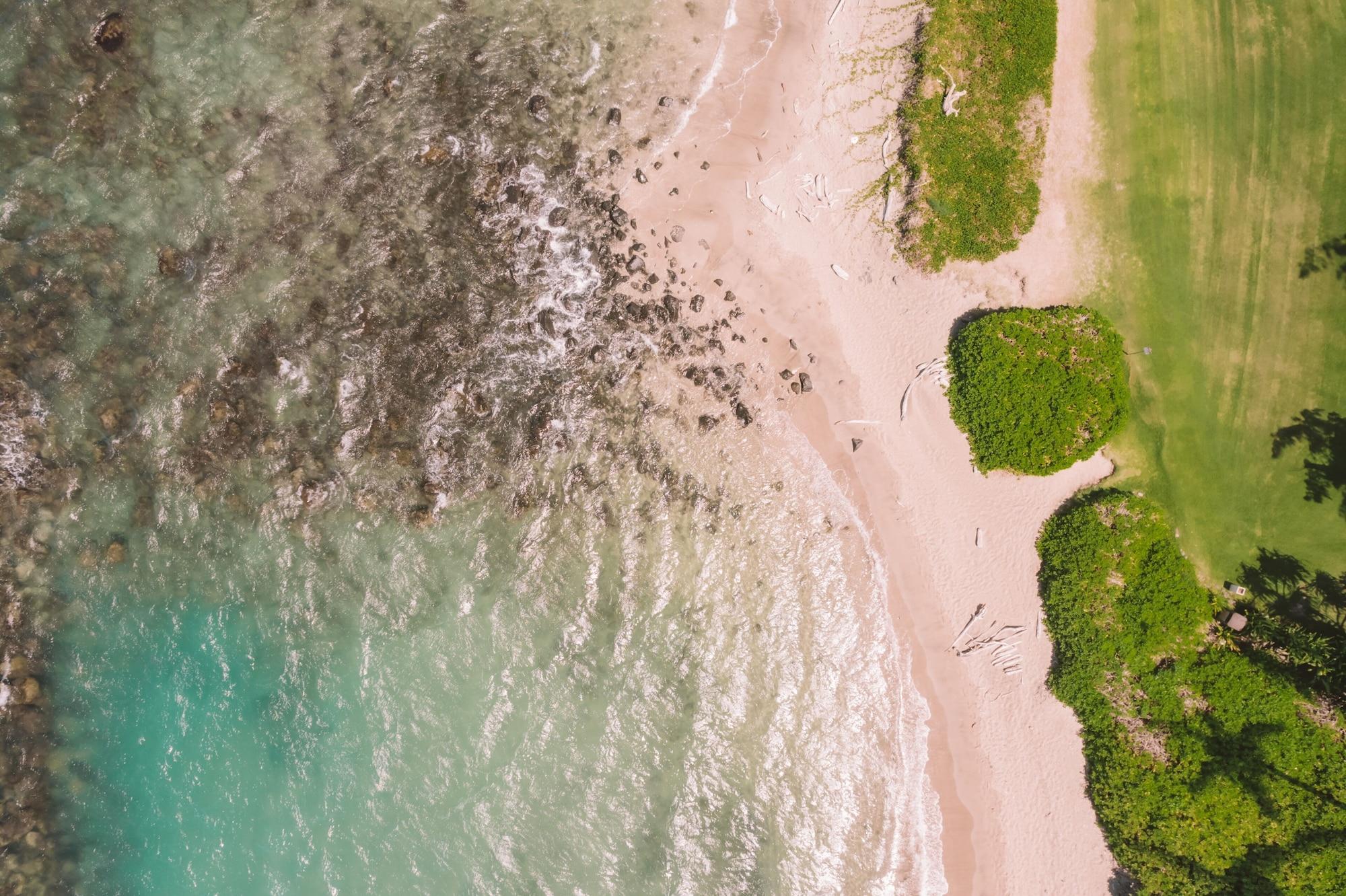 Maui Beach Hotel - photo 4