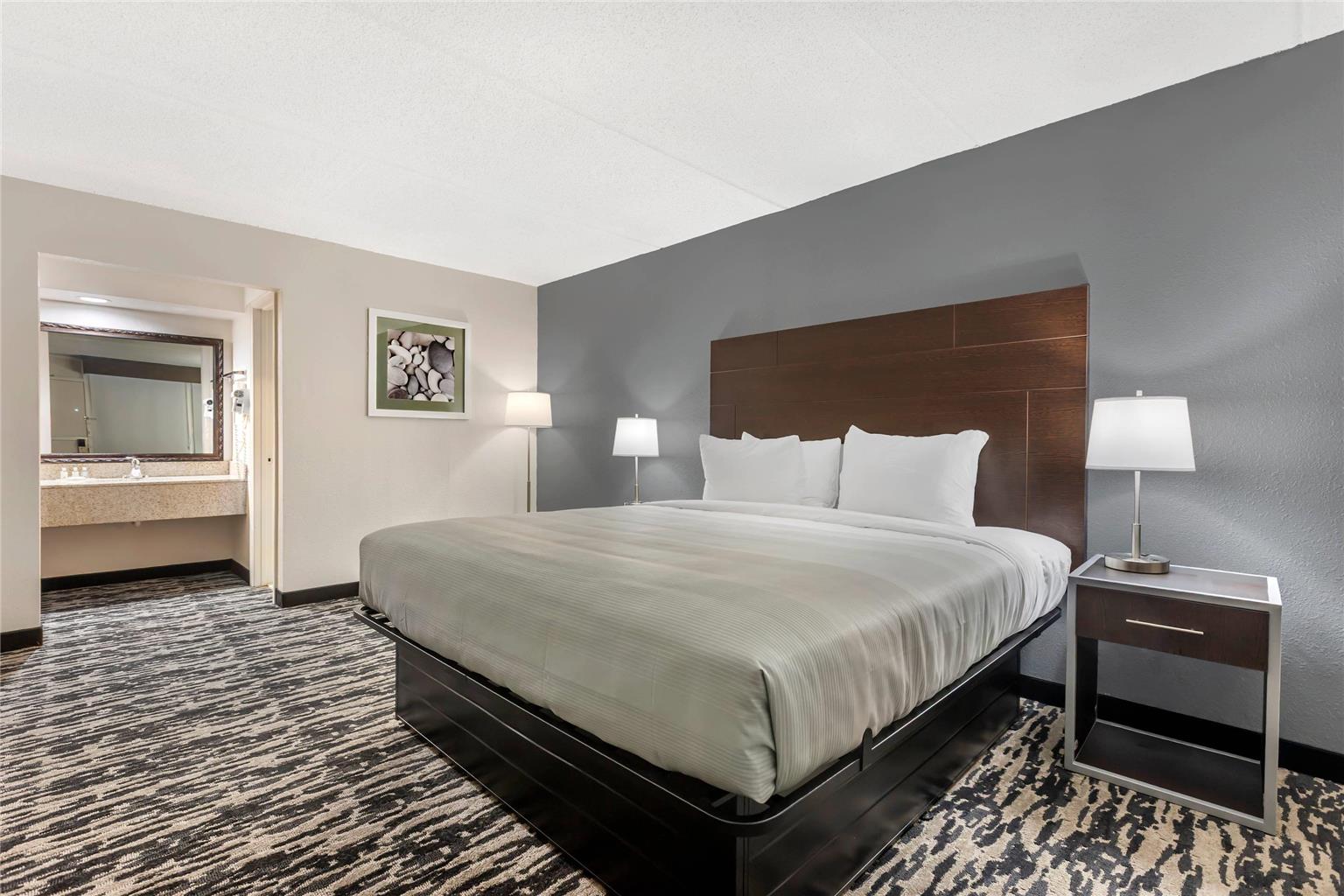 Quality Inn & Suites Easley Greenville - photo 19
