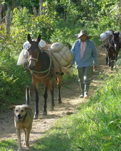 El Descanso Del Arriero in Guatape, Colombia