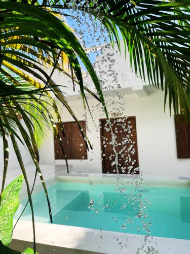 Sri Lanka Surf Villa Domus Graziella — 4-Star Luxury Hotel in Koggala, Sri Lanka