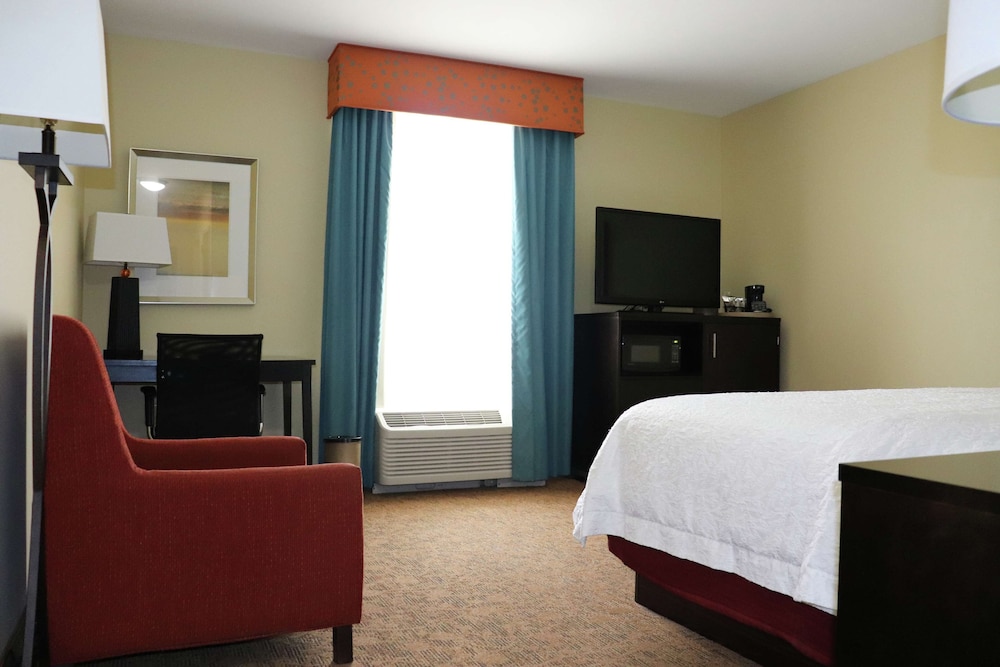 Hampton Inn Austin Oak Hill - photo 15
