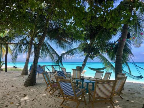 Waadhee Inn Vashafaru — hotel near Hanimaadhoo International Airport