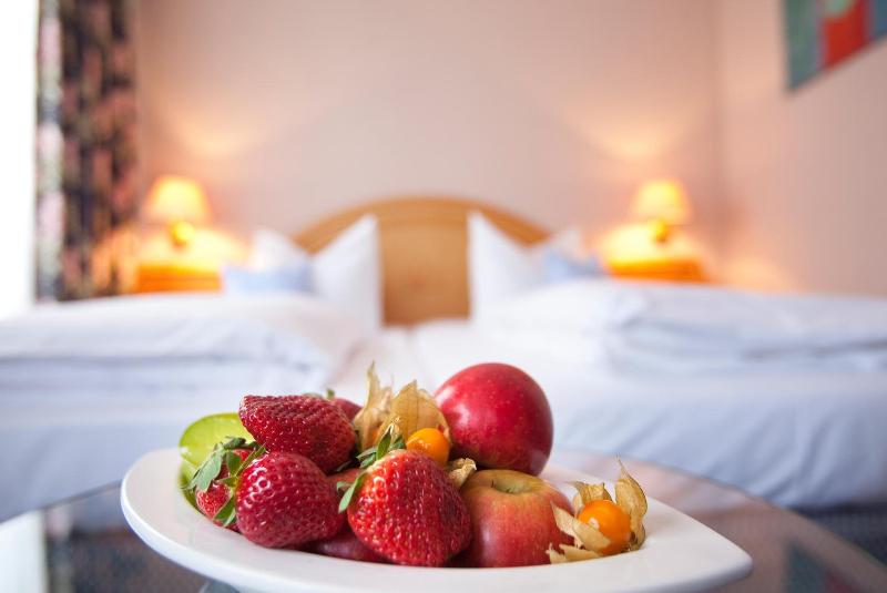 Kress Hotel — hotel in Bad Soden-Salmuenster