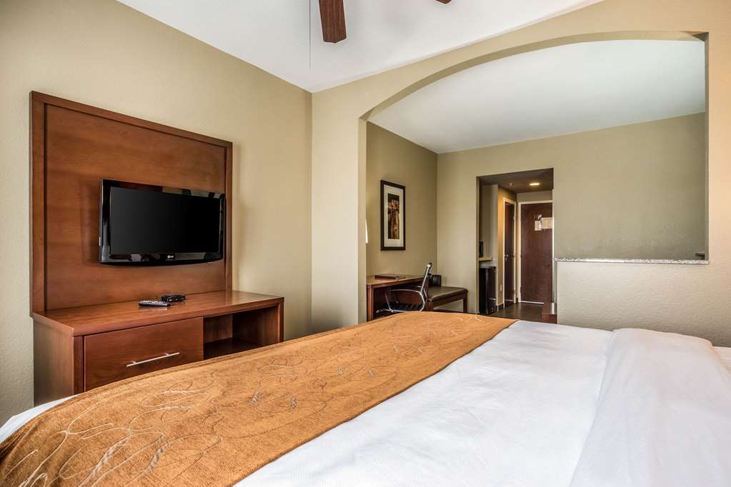 Comfort Suites Near Texas State University - photo 16