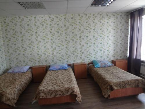 Putnik Hotel - carbon neutral hotel in Plesetsk