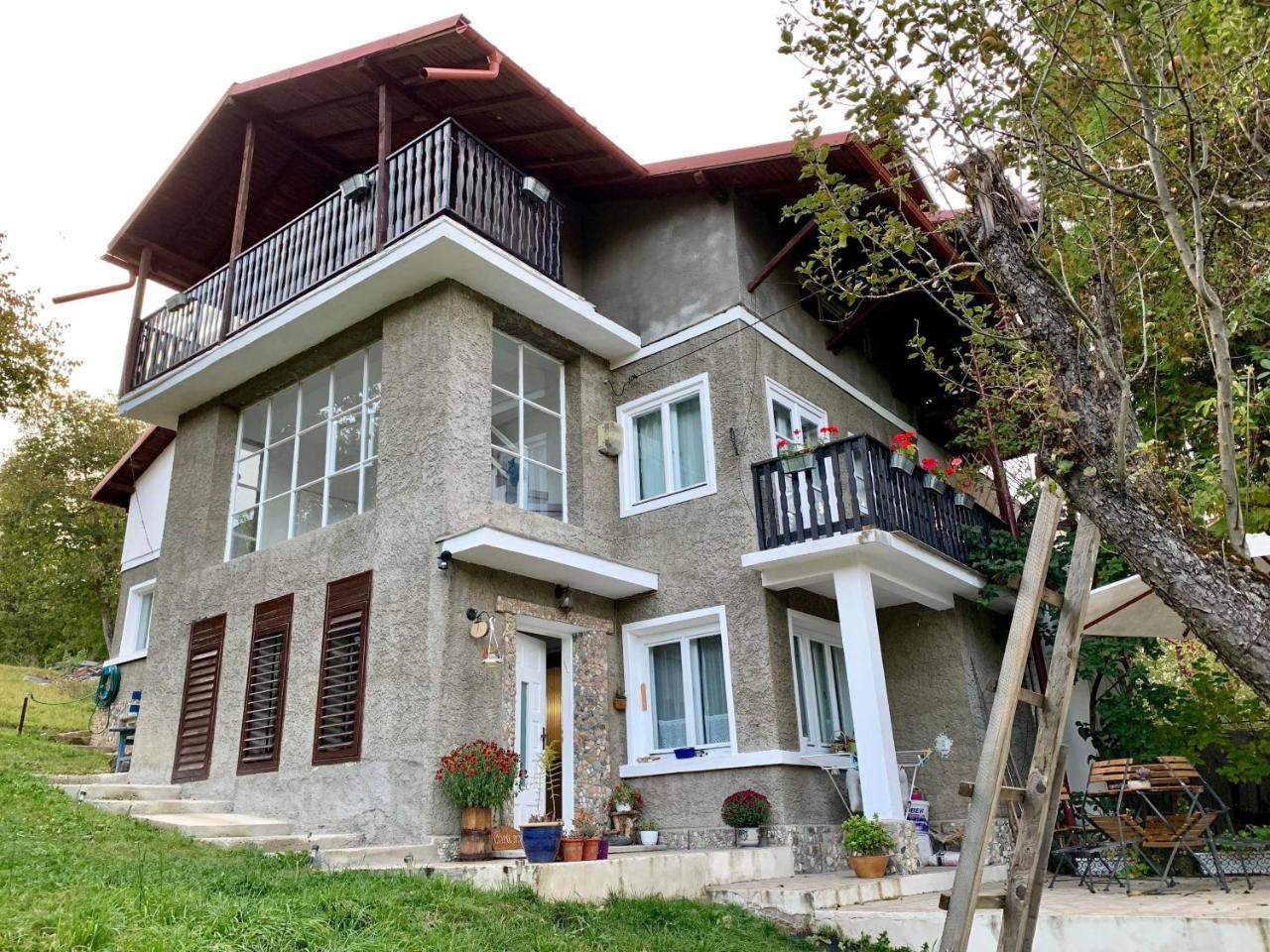 Bran and Breakfast in Bran, Romania