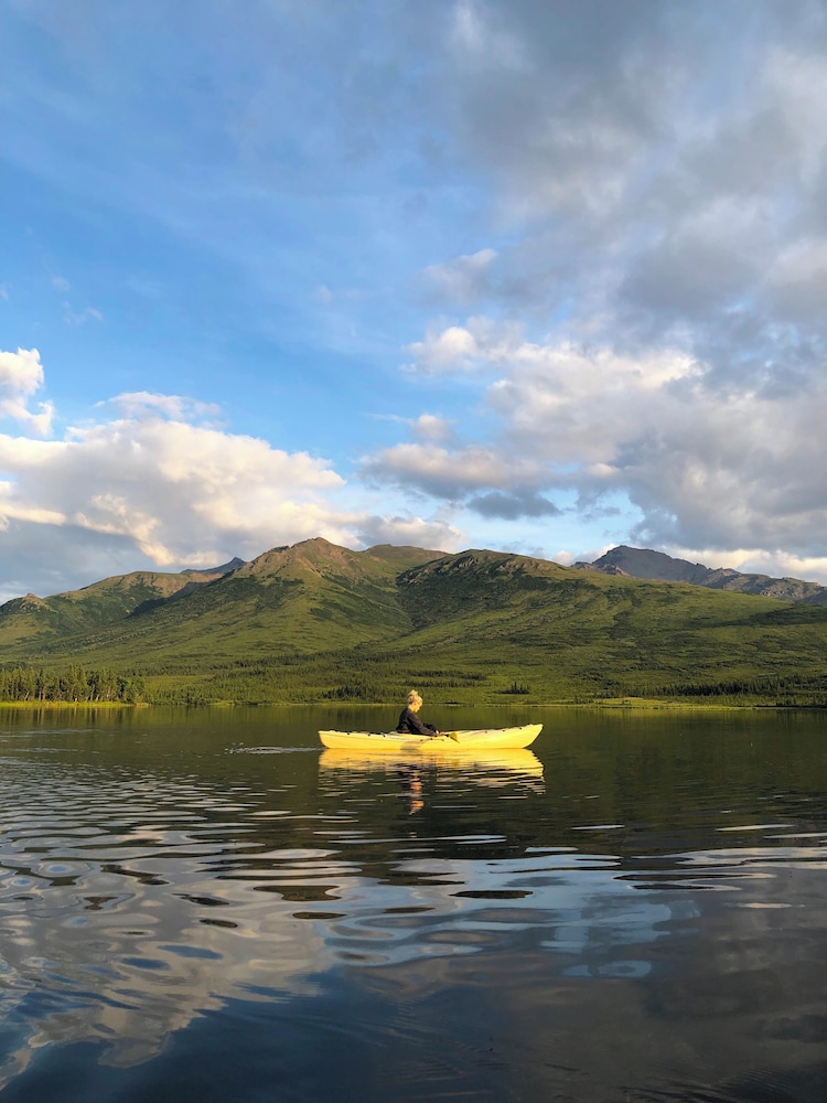 Denali Lakeview Inn - photo 38