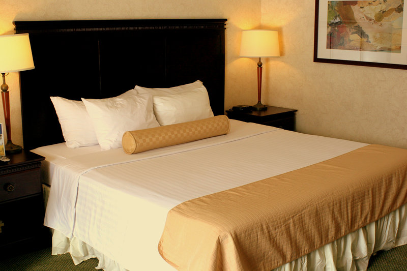Rockaway Hotel - photo 9
