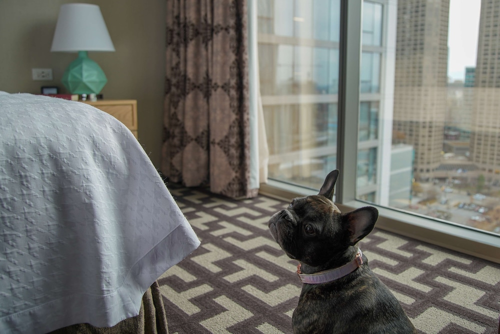 Homewood Suites by Hilton Chicago West Loop Fulton Mkt Area - photo 10