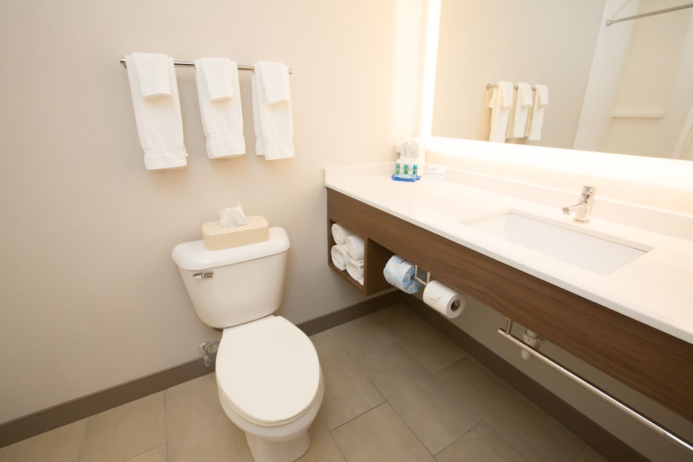 Holiday Inn Express Hotel & Suites Madison by IHG - photo 43