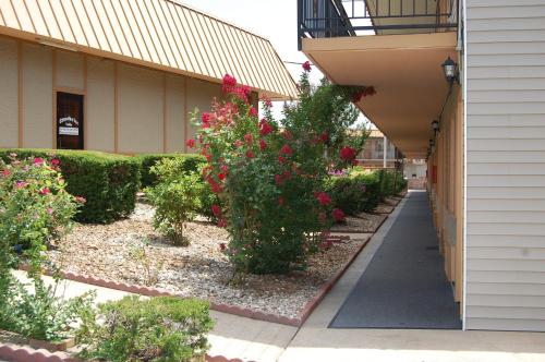 Executive Inn and Suites Springdale - photo 45