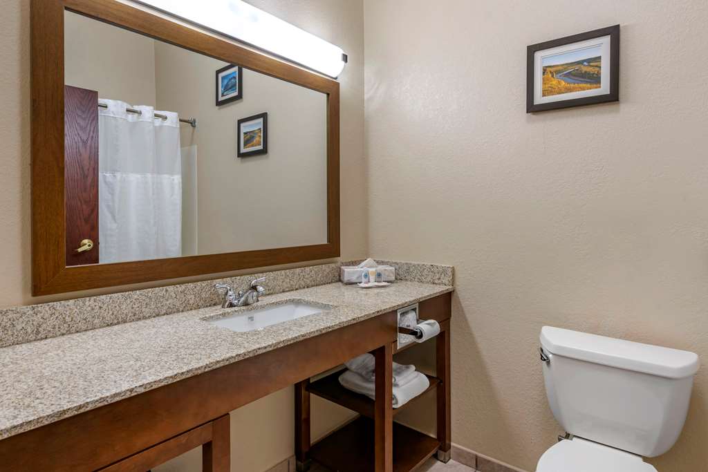 Comfort Inn & Suites St. Louis O'Fallon - photo 20