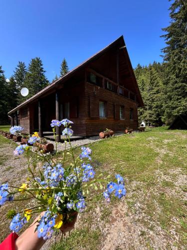 Natura Bh in Izvoare, Romania