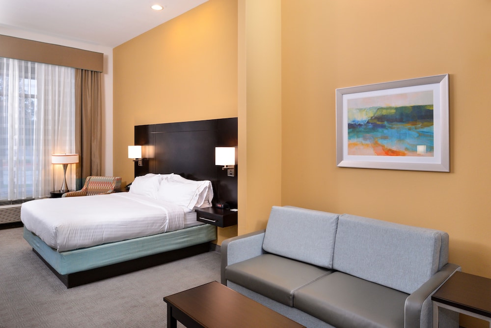 Holiday Inn Express & Suites Austin South by IHG - photo 29