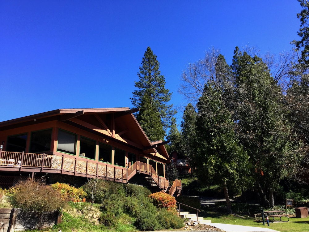 The Pines Resort - photo 134