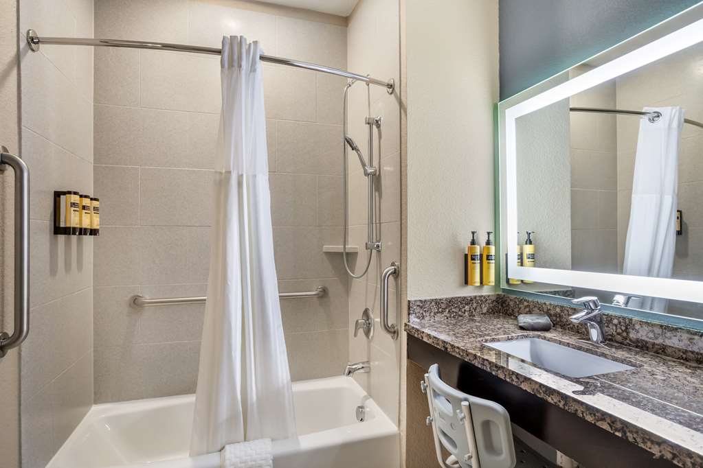 Best Western Plus Lake Jackson Inn & Suites - photo 28