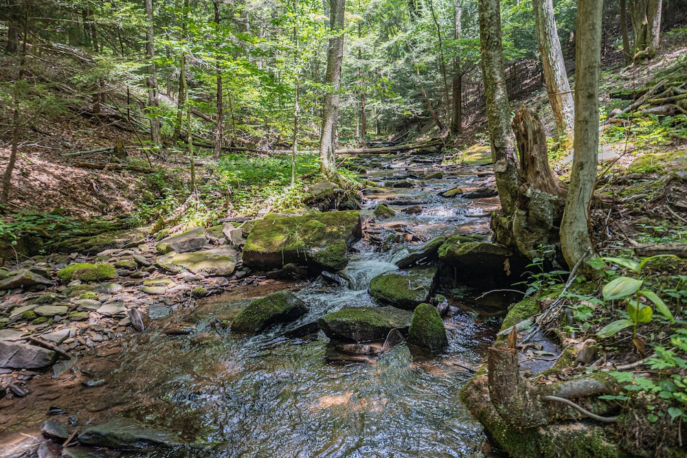 By The Stream in Mchenry, United States
