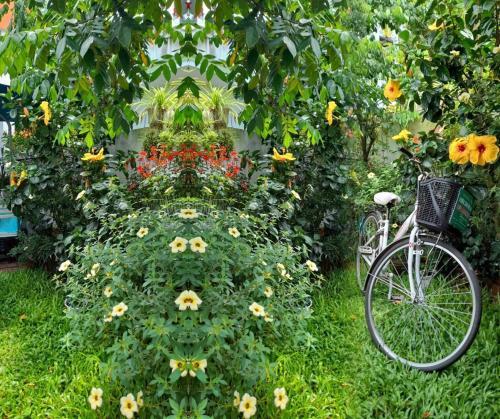 Star Garden Hoi An in Hoi An, Vietnam