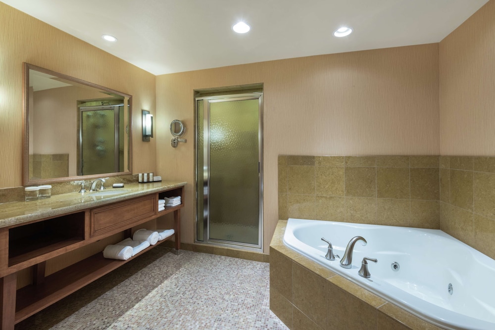 Embassy Suites by Hilton Loveland Conference Center - photo 29