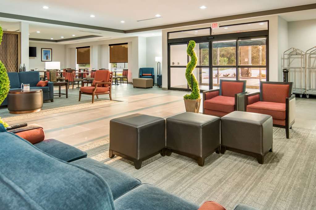 Comfort Suites DeSoto Dallas South - photo 7