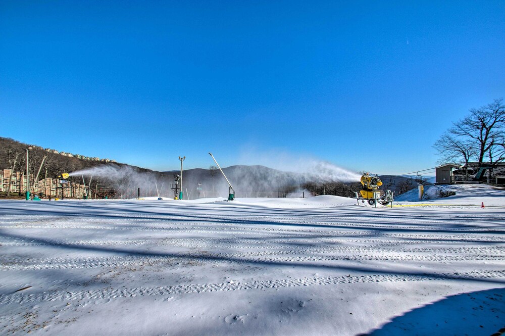Snug Wintergreen Resort Studio Ski In and Out - photo 19