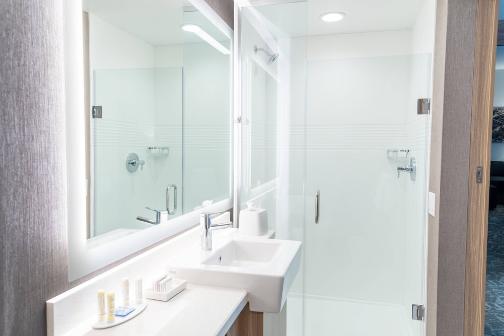 SpringHill Suites by Marriott Overland Park Leawood - photo 22