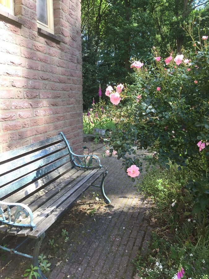 Blauwe Lelie in Unknown City, Netherlands