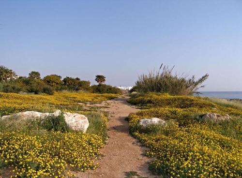 Luxury Bay View Villa 20 Right On Τhe Beach