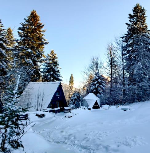 Osada pod Beskidem chatki całoroczne in Szczyrk, Poland