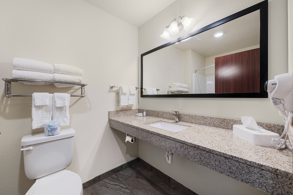Cobblestone Hotel & Suites Urbana - photo 48