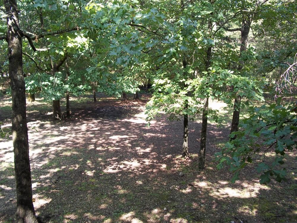Golden Arrow Resort - photo 45