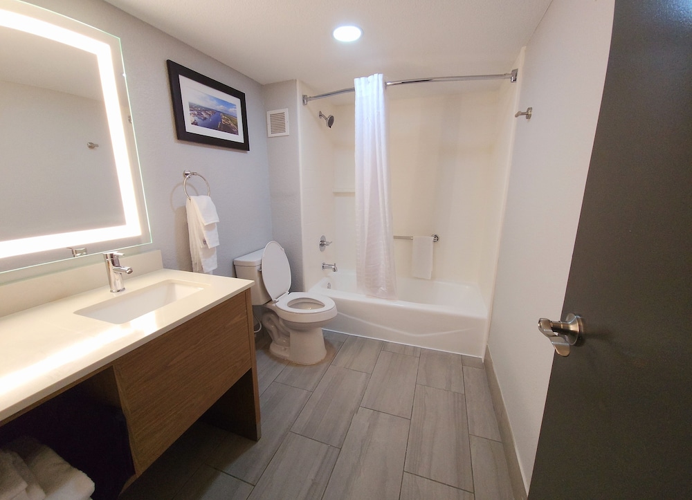 Best Western Plus Mobile Inn & Suites - photo 16