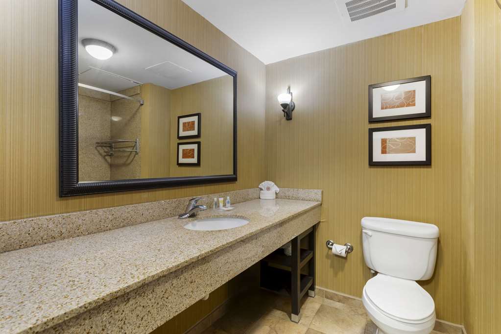 Comfort Suites Kodak Sevierville - photo 23