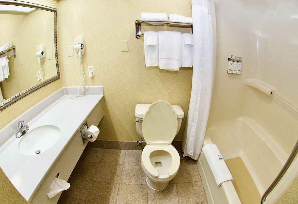 Holiday Inn Express & Suites St. Louis West Fenton by IHG - photo 28