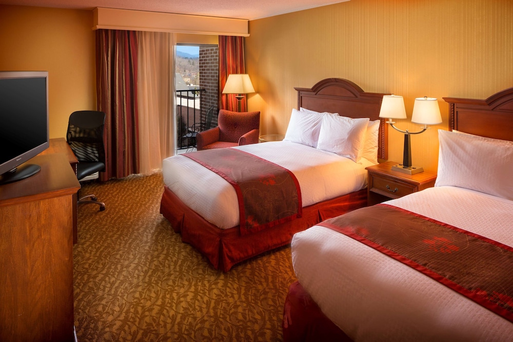 DoubleTree by Hilton Asheville Biltmore - photo 33