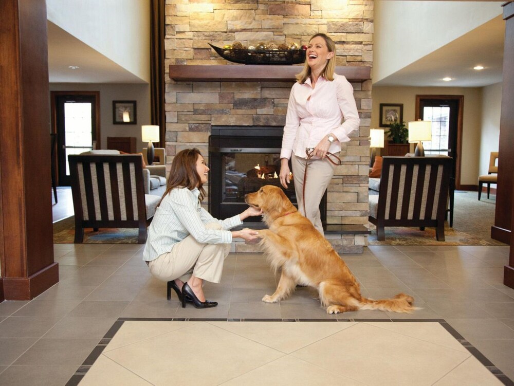 Staybridge Suites IAH Airport East by IHG - photo 19