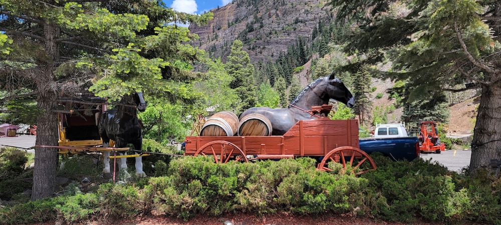 Hot Springs Inn - photo 115