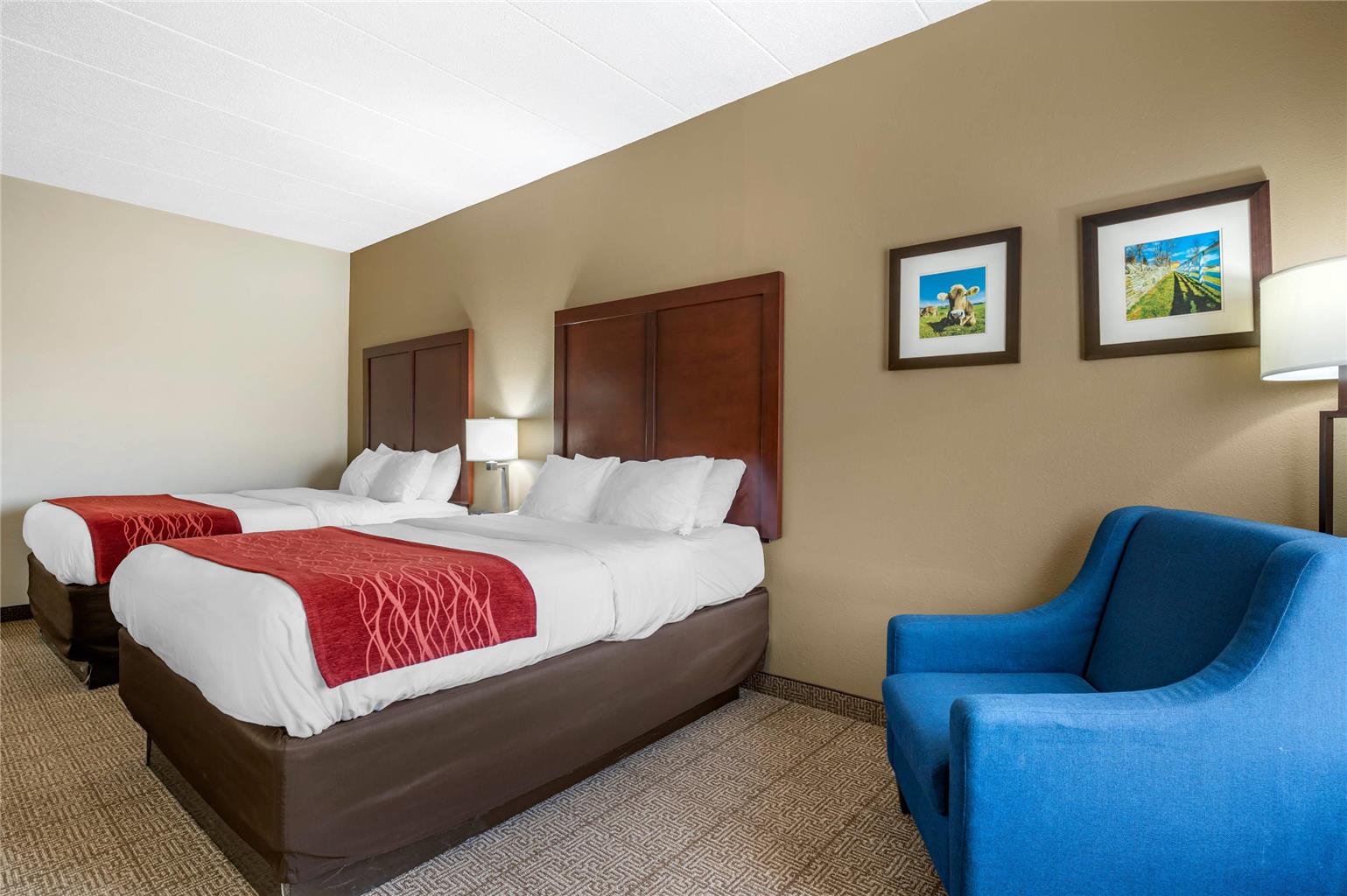 Comfort Inn Lexington I 75 - photo 12