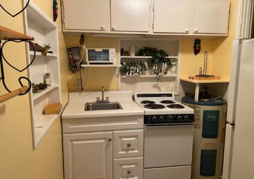 Cottage on the Water — Okeechobee — photo 2