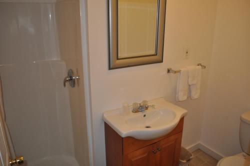 Golden Lion Motel - photo 6