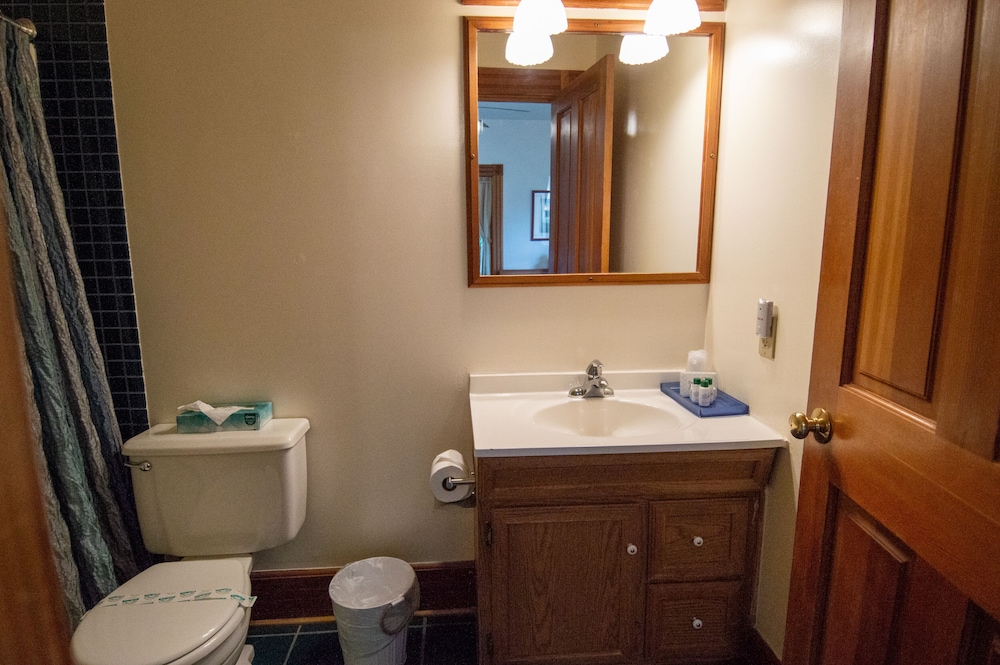 The Swan Hotel - photo 84