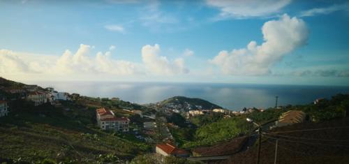 Quinta Do Ribeiro Real — Camara De Lobos