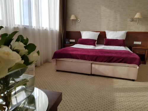 Starzynski Hotel Restaurant Spa — Plock