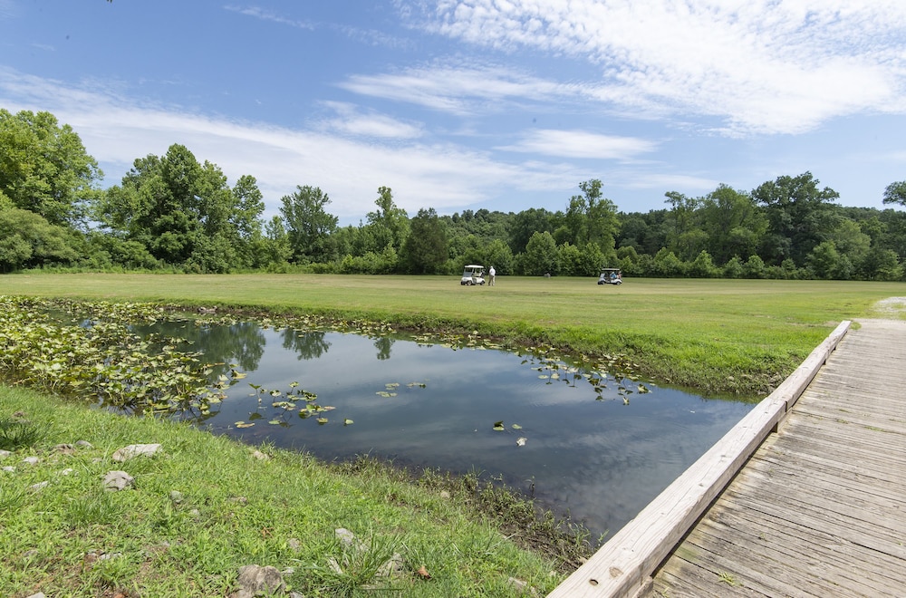 Pennyrile Forest State Resort Park - photo 25