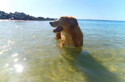 4 Gilchrist Rd Pet Friendly Air Con Wi Fi — Salamander Bay