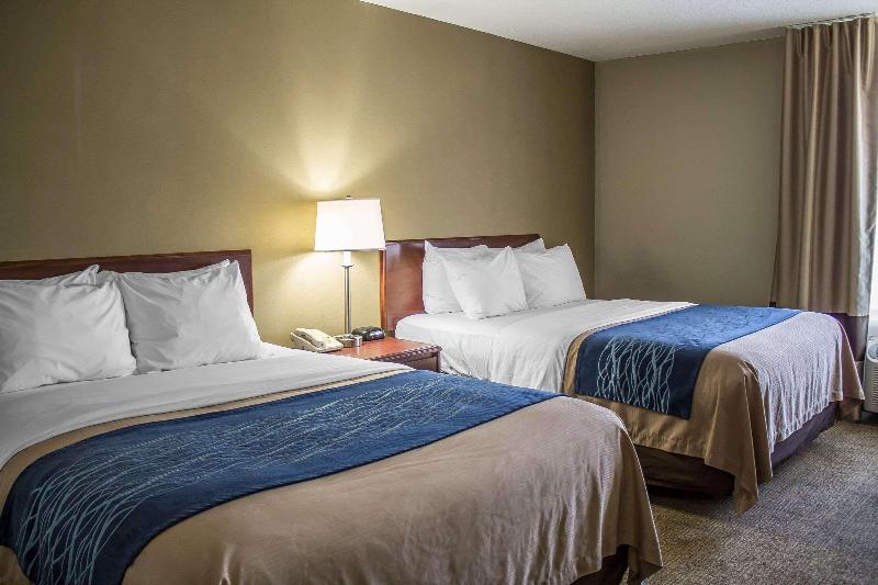 Comfort Inn - photo 26