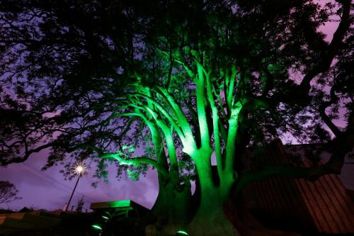 Novotel New Plymouth Hobson