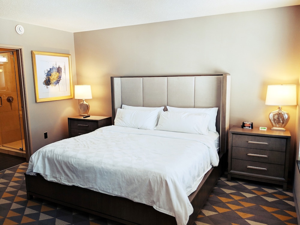 Holiday Inn Purdue Fort Wayne by IHG - photo 5