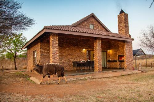 Sondela Nature Reserve & Spa Moselesele Tents — 4-Star Luxury Hotel in Bela Bela, South Africa